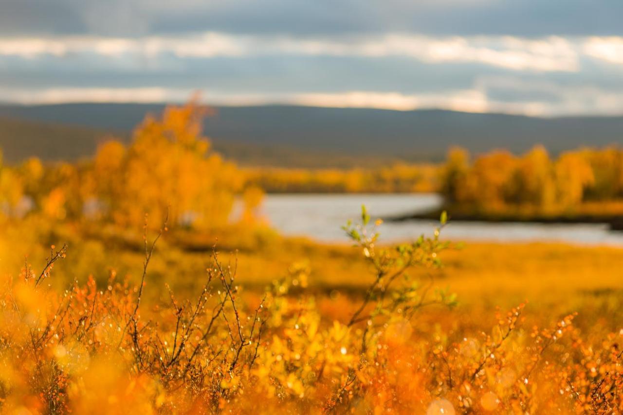 Arctic Gourmet Cabin Kiruna Eksteriør billede