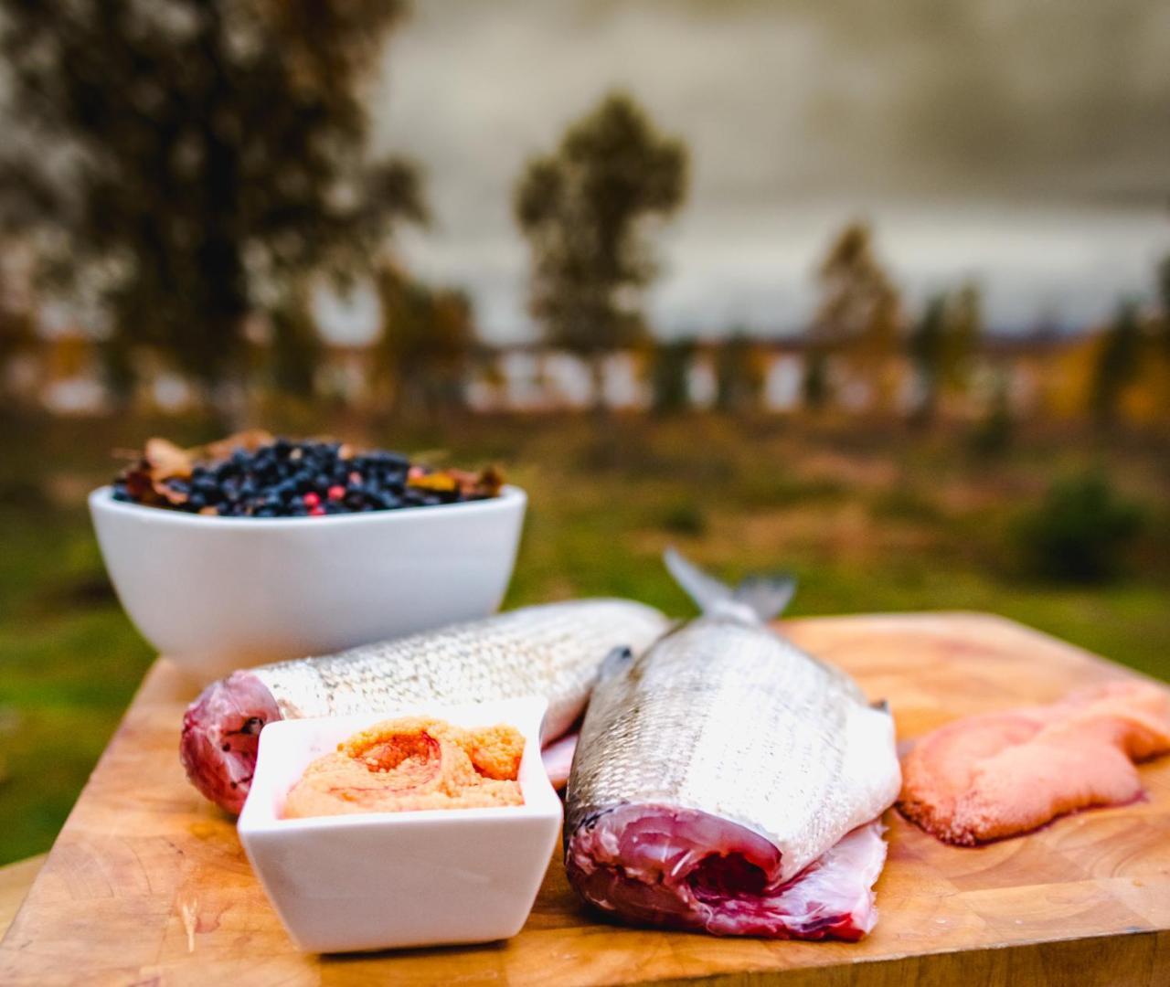 Arctic Gourmet Cabin Kiruna Eksteriør billede