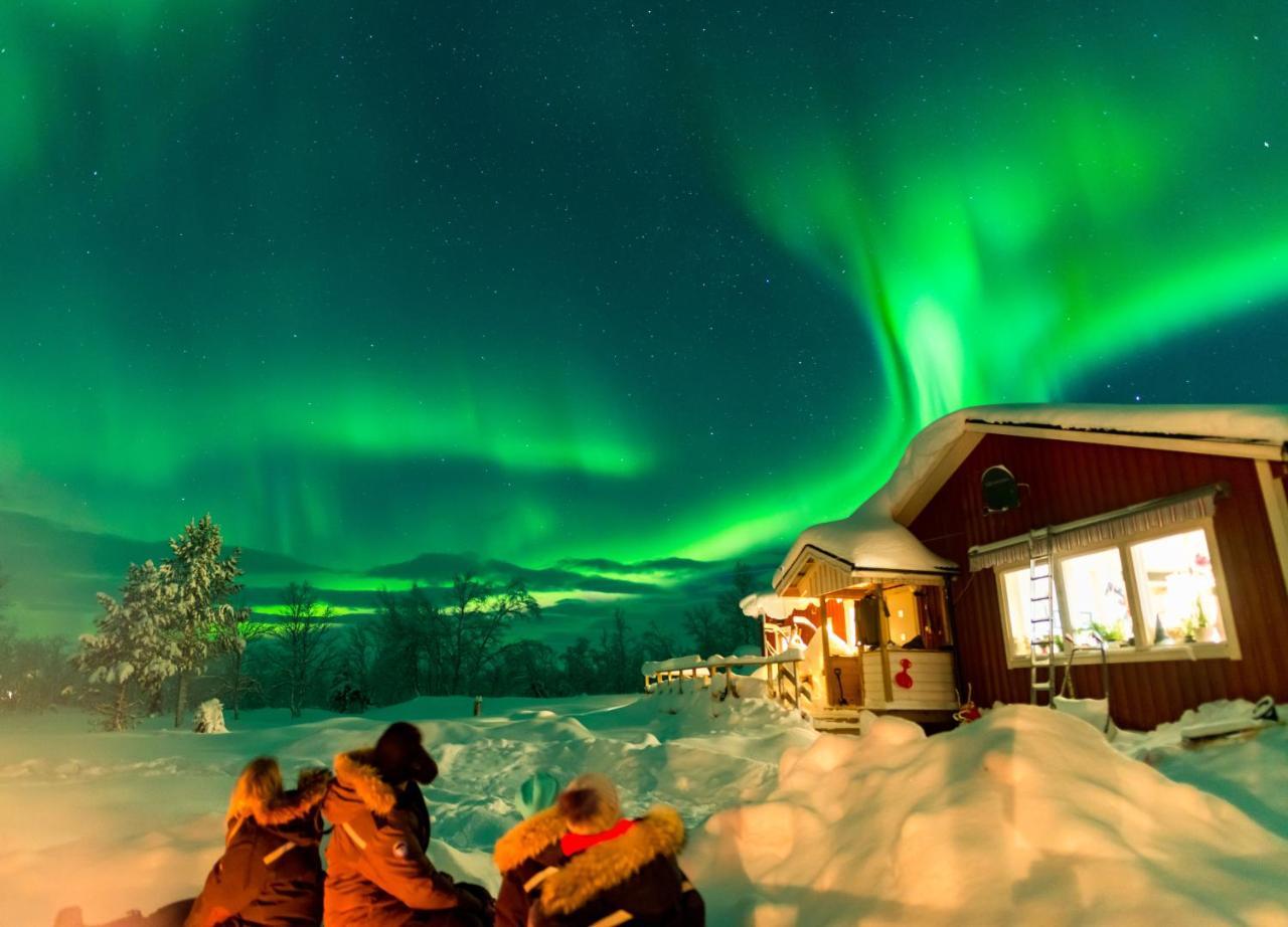 Arctic Gourmet Cabin Kiruna Eksteriør billede